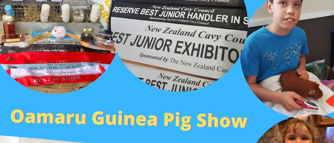 Guinea Pig Show
