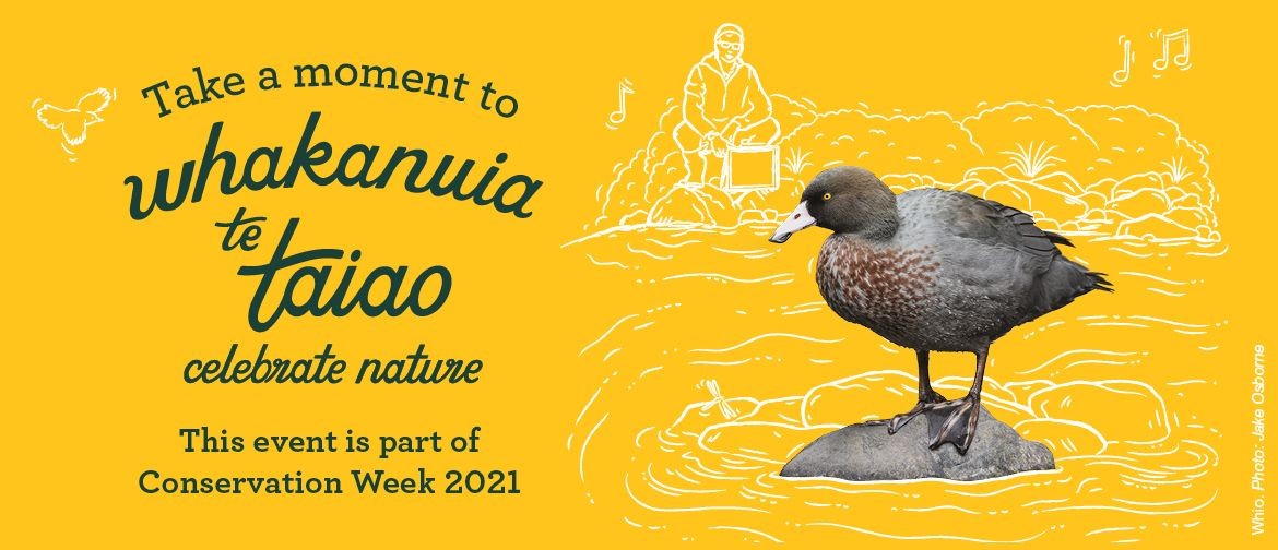 Photo Competition - Conservation Week Coromandel/Hauraki Photo Competition - Conservation Week Coromandel/Hauraki