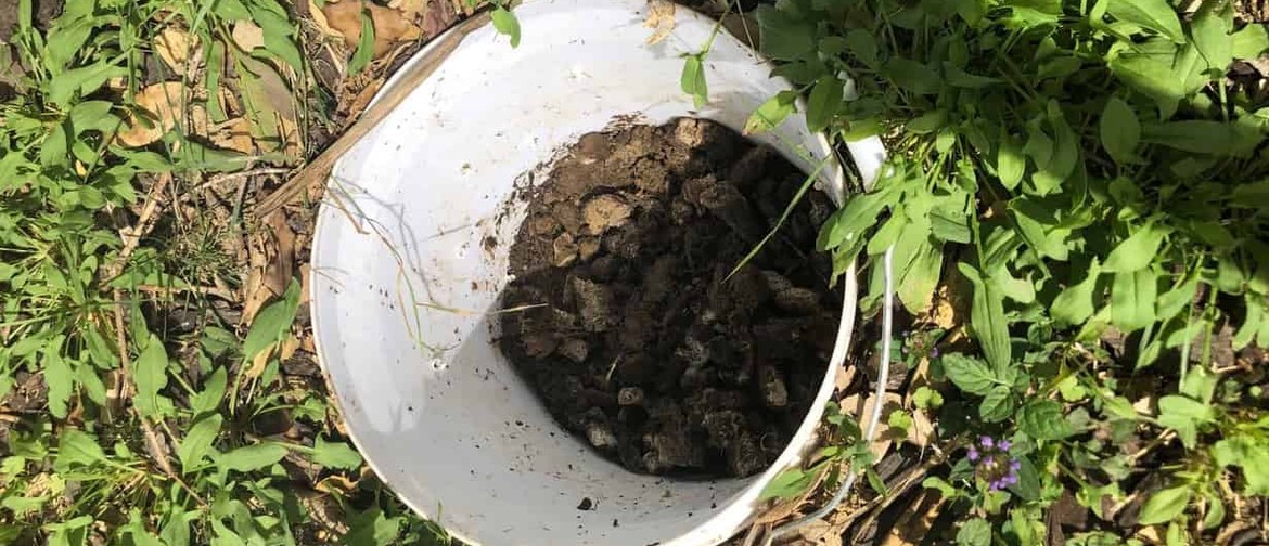 Build Your Own Dog Poo Composter