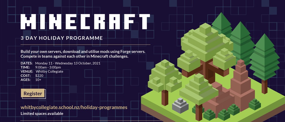 Minecraft Holiday Programme