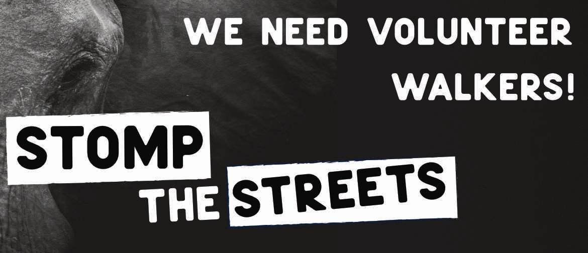 STOMP The Streets