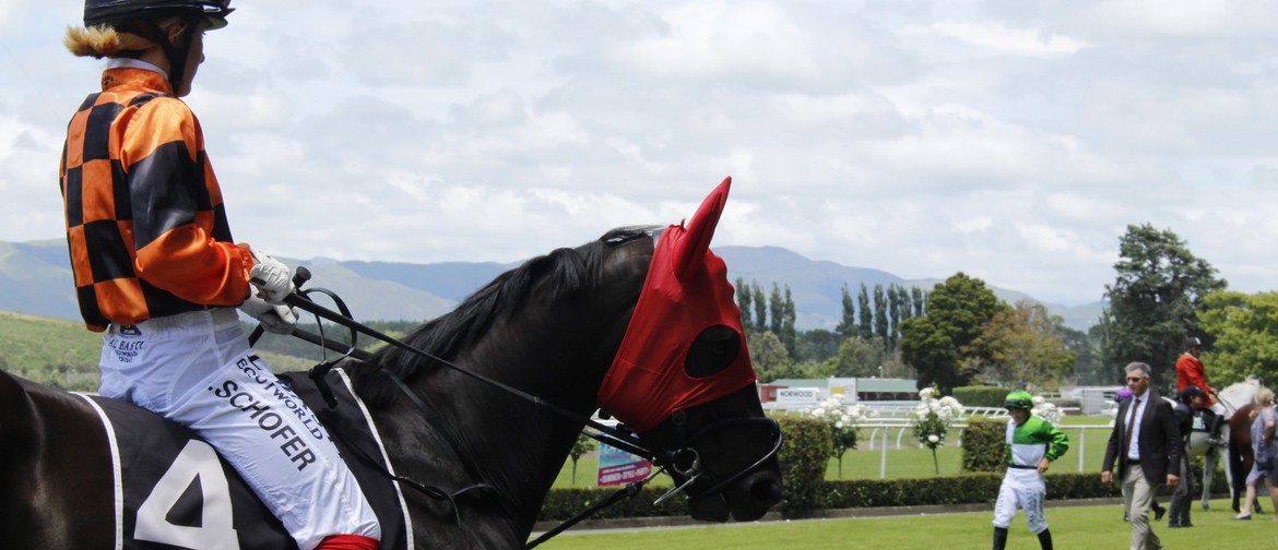 Christmas at the Races - Humphries Construction Manawatu Cup
