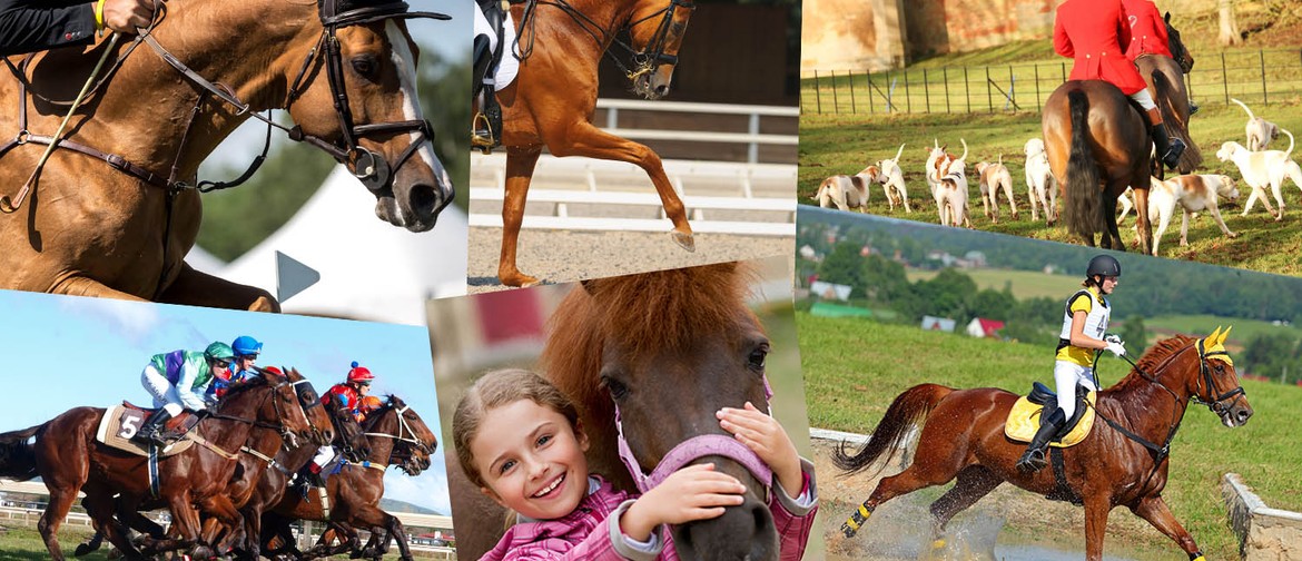 Marlborough Equine Expo