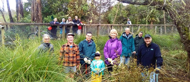 Riverlea Environment Society Inc - Restoration Project