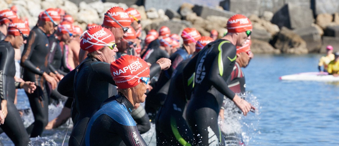 Napier Port Ocean Swim 2022