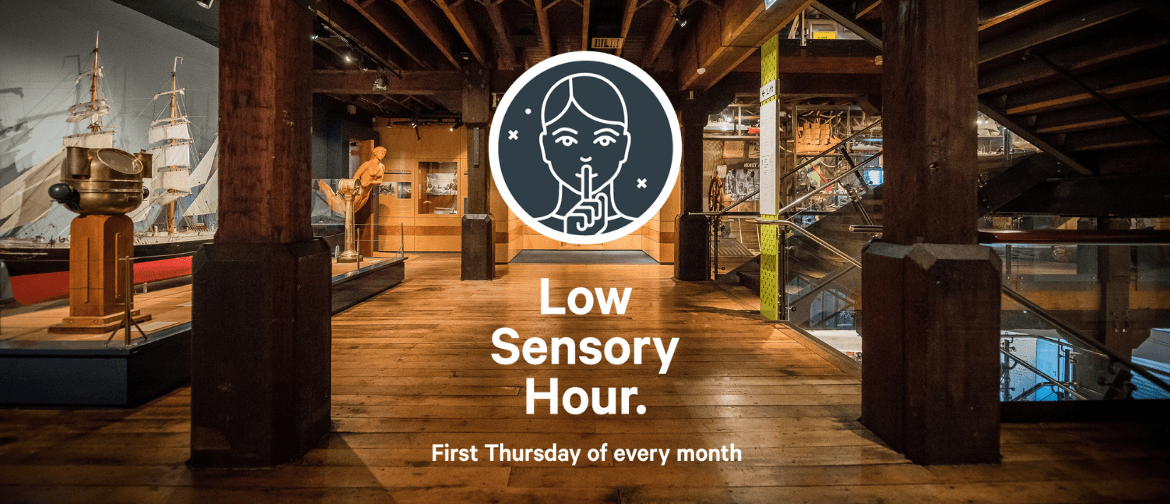 Wellington Museum Low-Sensory Hour