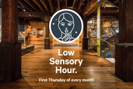 Wellington Museum Low-Sensory Hour