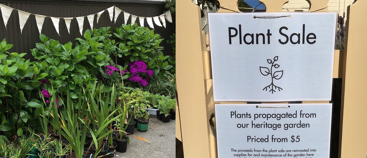 Katherine Mansfield House & Garden Plant Sale & Open Day