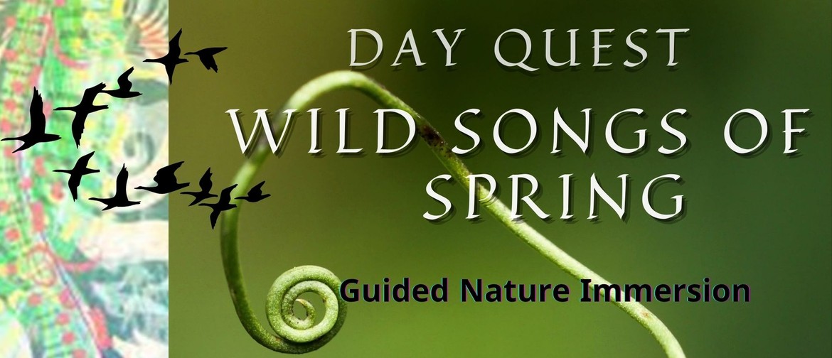 Wild Songs of Spring Day Quest Wild Songs of Spring Day Quest