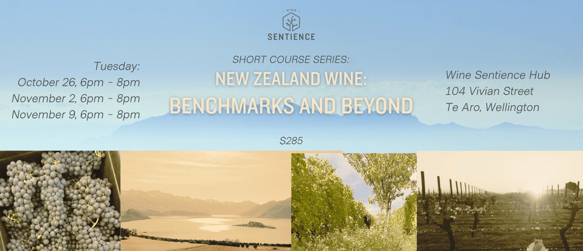 New Zealand Wine: Benchmarks and Beyond