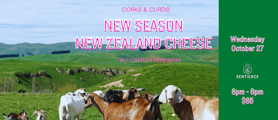 Corks and Curds: New Season New Zealand Cheese