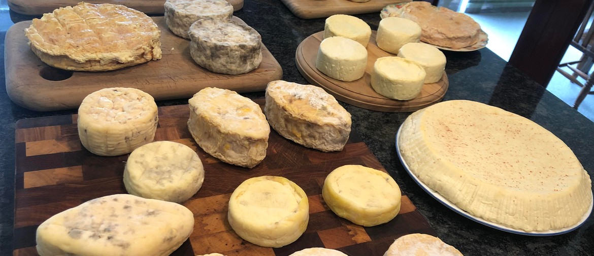 Cheese Making Class - Fundamentals of Cheese Making