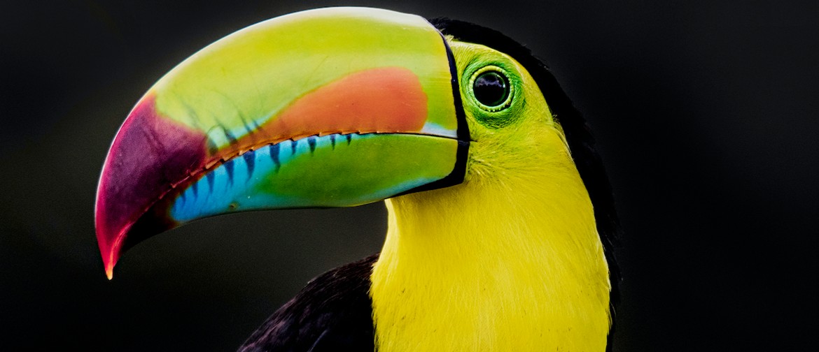 Colours of Nature Photography Exhibition