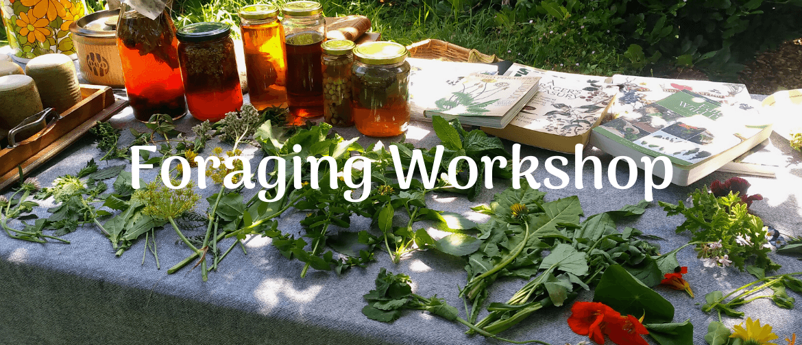 Urban Foraging Workshop - Learn To Forage For Edibles
