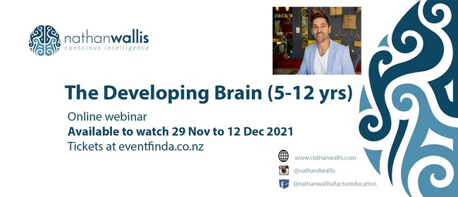 The Developing Brain - 5 - 12 years - Webinar