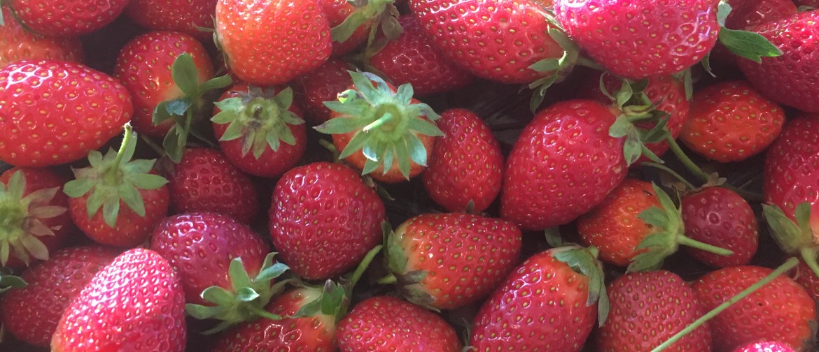 Taranaki Farmers' Market