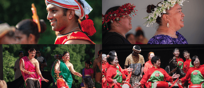 This is Kiwi - Indigo Festival