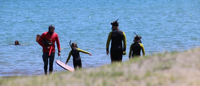 Ngamotu Beach Community Snorkel Day: POSTPONED