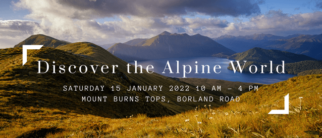 Discover the Alpine World