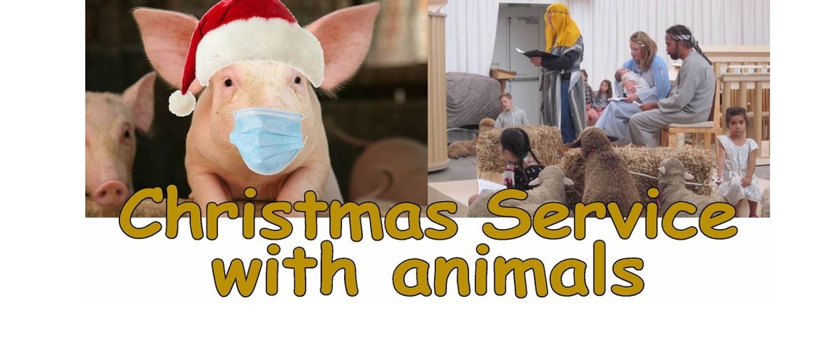 Children’s Christmas Service (with animals)