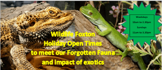 Forgotten Fauna