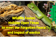 Image for event: Forgotten Fauna