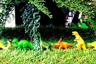 Image for event: World Famous (in Taupo) Dinosaur Hunt