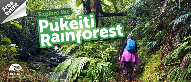 Explore the Pukeiti Rainforest