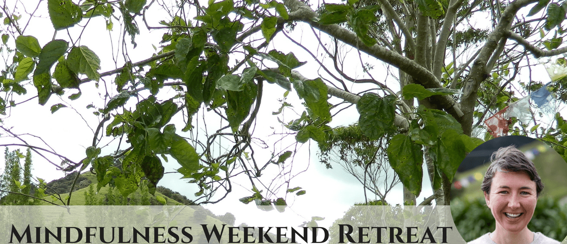 Mindfulness Weekend Retreat