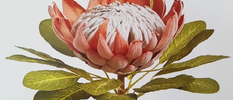 Botanical Art And Illustration Tutored Course Dunedin Eventfinda