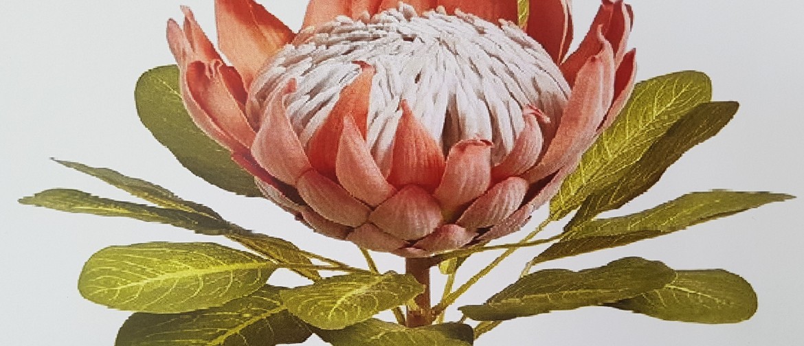 Botanical Art and Illustration Tutored Course