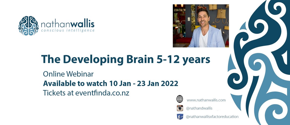 The Developing Brain - 5 - 12 years - Webinar