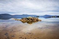 Image for event: Stewart Island Photography Tour - 4 Days