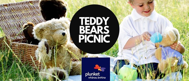 Plunkett Teddy Bears Picnic on Quail Island