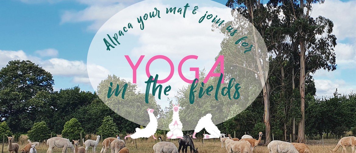 Yoga in the Fields