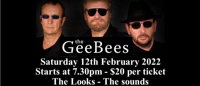 Gee Bees: CANCELLED