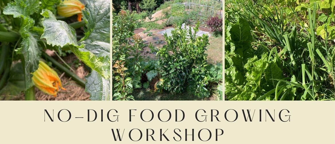 No-Dig Food Growing Workshop