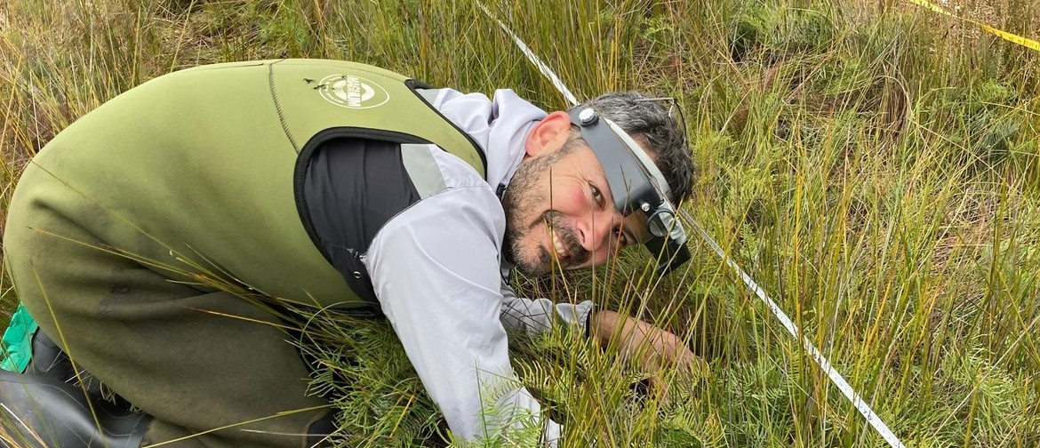 Talk: Conservation of New Zealand Wetland Orchids