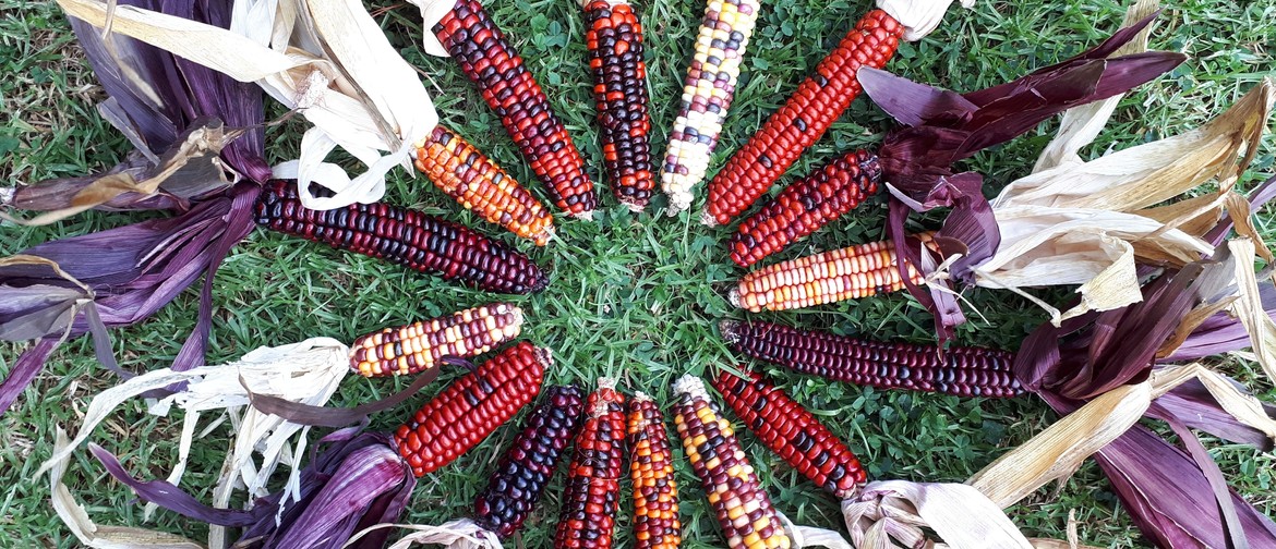 Northland Edible Garden Trail