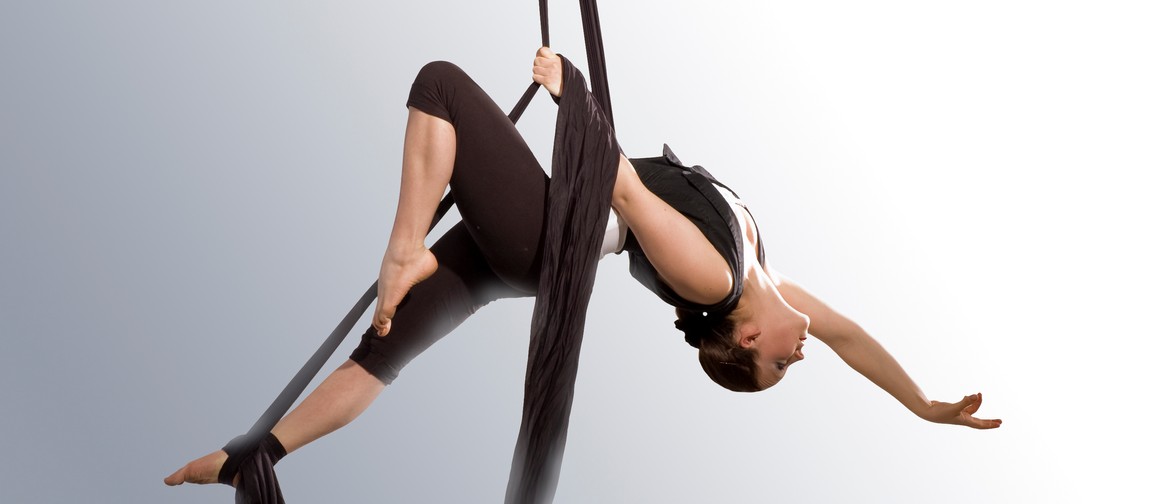 Introduction to Aerial Silks