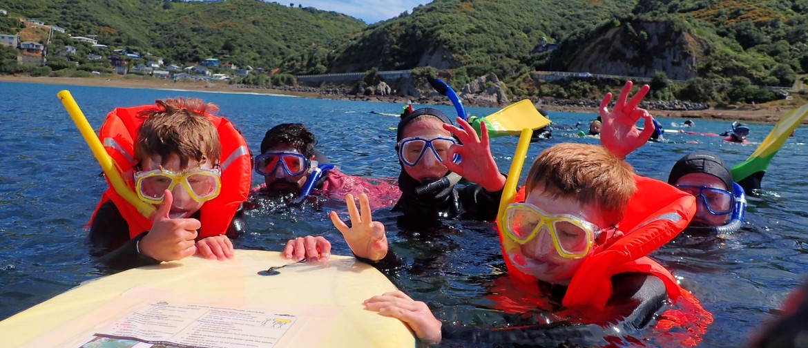 Whitireia Community Snorkel Day: CANCELLED