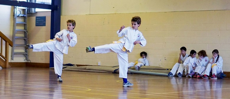 Childrens Kung Fu Classes - Chans Martial Arts