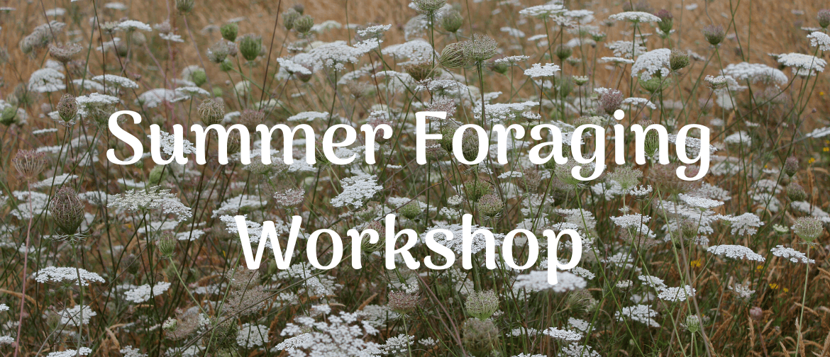 Summer Foraging Workshop - Learn To Forage this Season