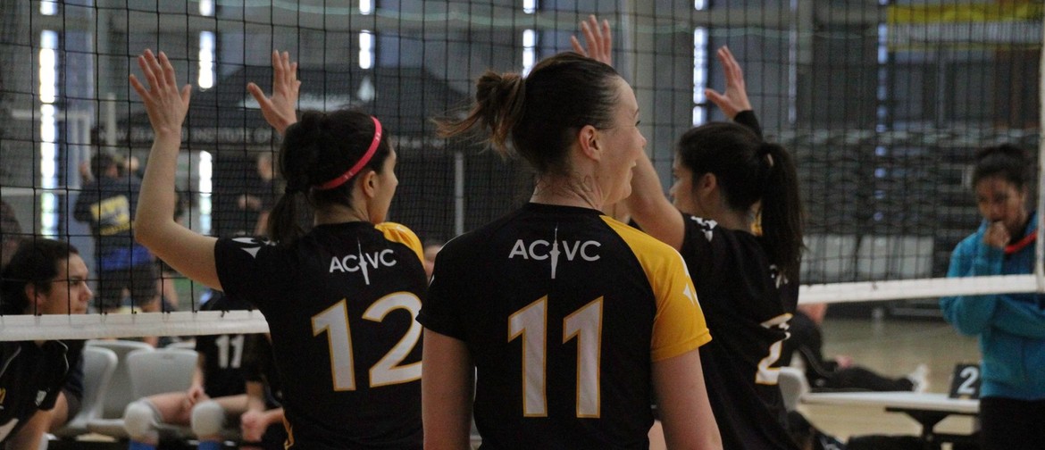 ACVC: Indoor Volleyball Training for ladies (Beg-Int-Adv)