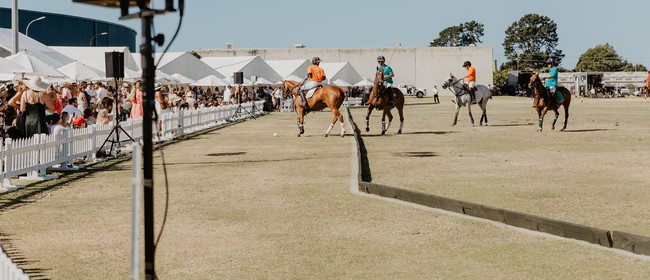 Polo in the Bay - Mount Maunganui