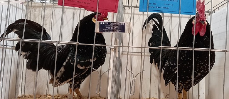 Central Districts Poultry & Pigeon Club Meet-up and Sale