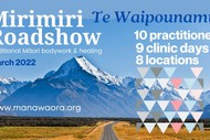 Image for event: Manawa Ora Mirimiri Community Clinic Day - Invercargill
