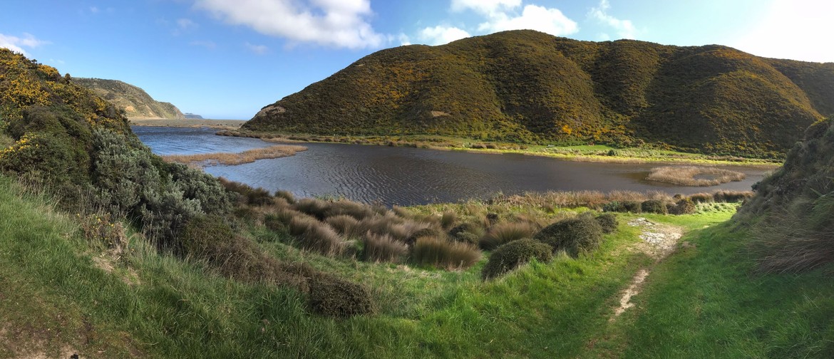 Lighthouses and Lakes Walk: CANCELLED