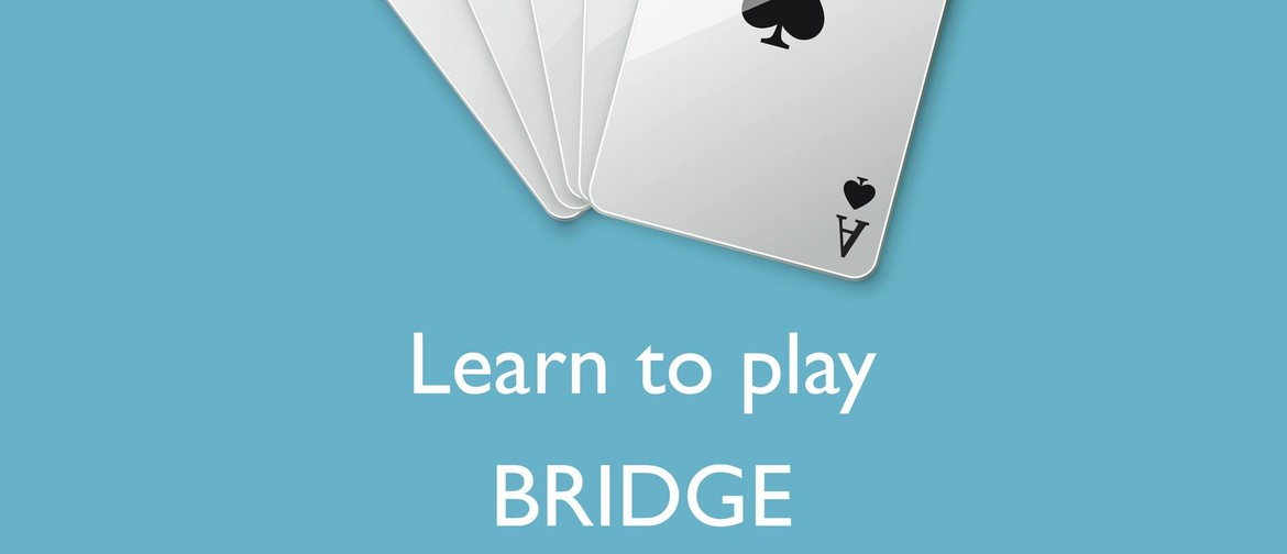 Bridge Lessons for Beginners
