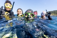 Diploma in Professional Scuba Instruction